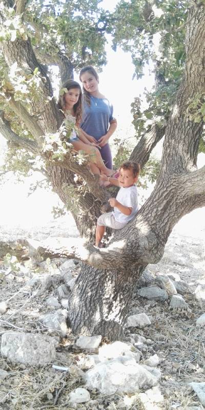 my kids climbing trees