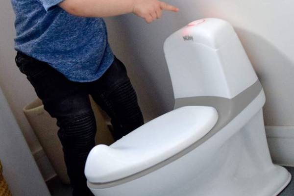 Read more about the article Products that help with potty training for 3 year old