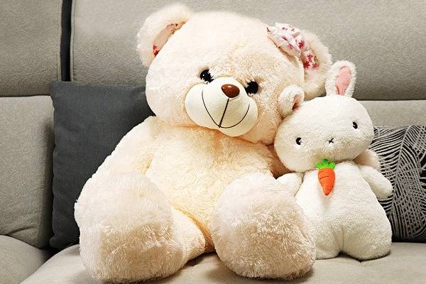 Read more about the article Soft Toys